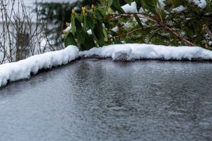 How to Prepare Your Flat Roof for Winter in Michigan