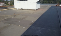 Commercial Flat Roof Repair - Detroit, MI (After)