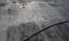 Commercial Flat Roof Repair - Eastpointe, MI (Before)